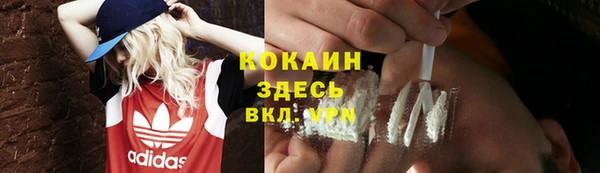 стаф Алзамай