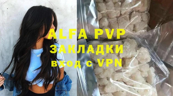 стаф Алзамай