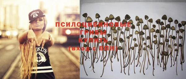 прущие грибы Алексин
