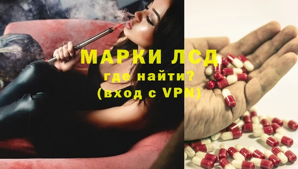прущие грибы Алексин