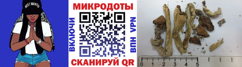 сколько стоит  Краснознаменск  Псилоцибиновые грибы GOLDEN TEACHER 