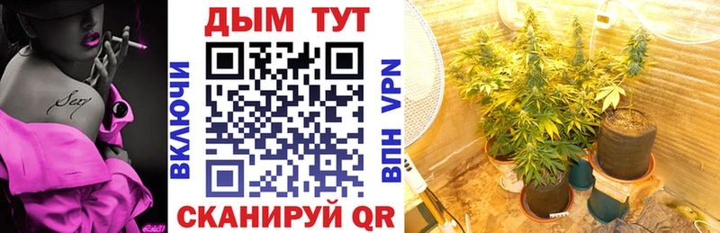 Каннабис White Widow где можно купить наркотик Краснознаменск